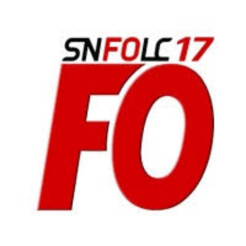 Snfolc17