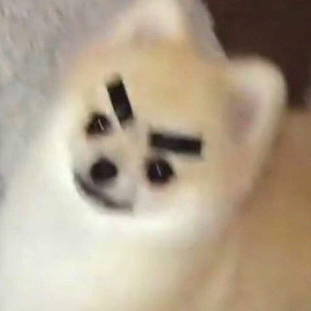 김구표