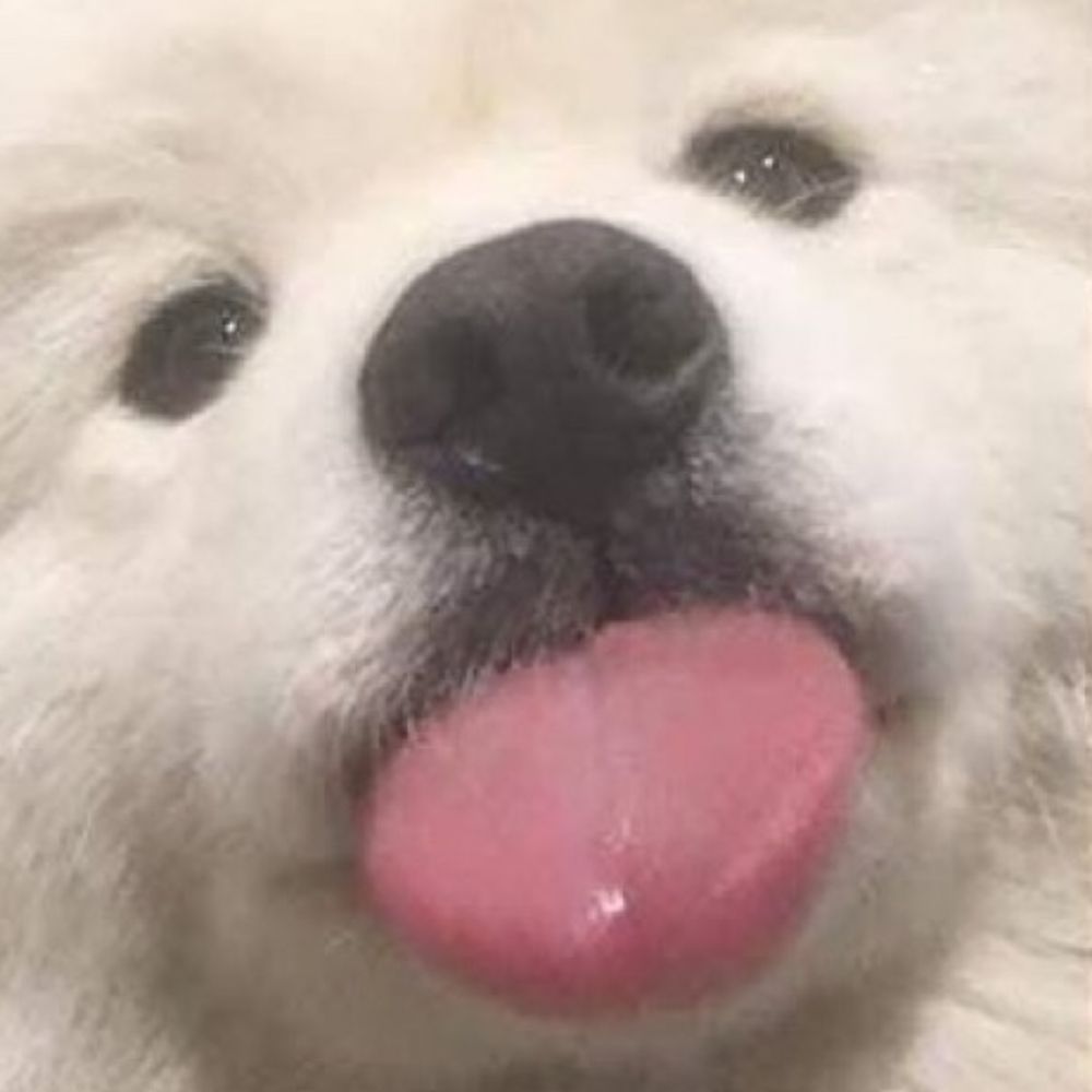 까까