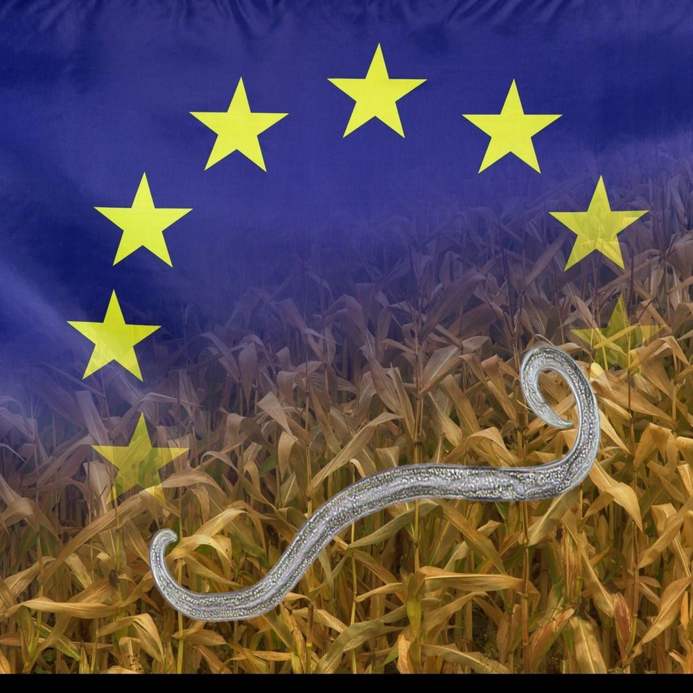 EURL for Plant Parasitic Nematodes