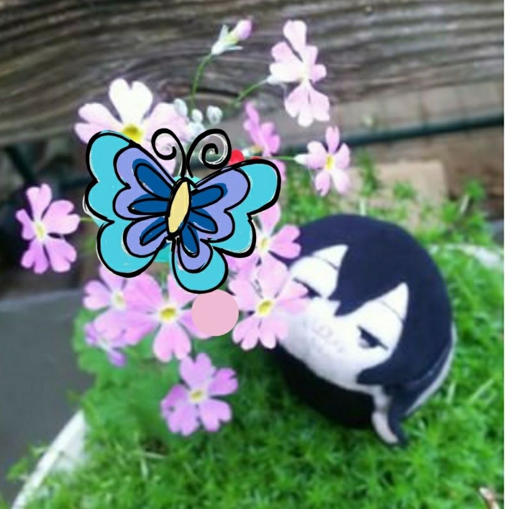 こてつ
