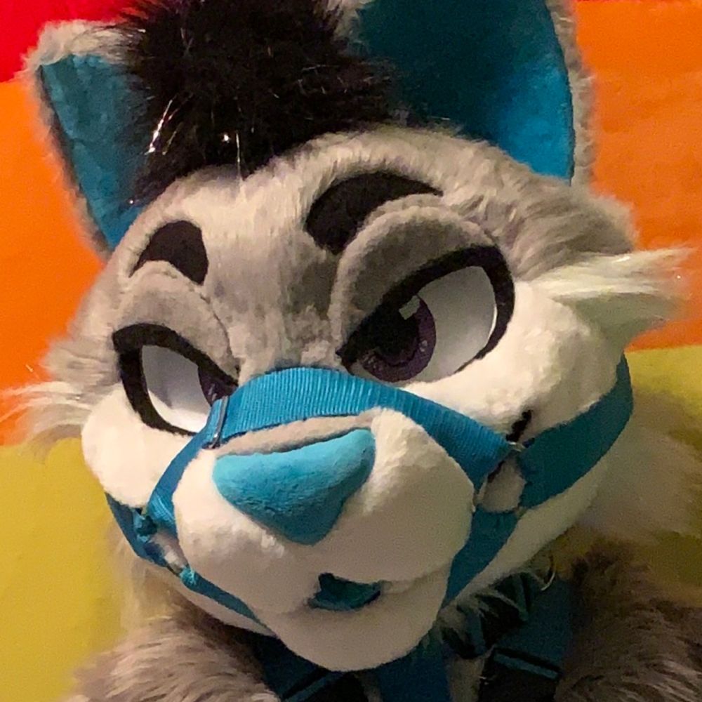 Kinky Kitty