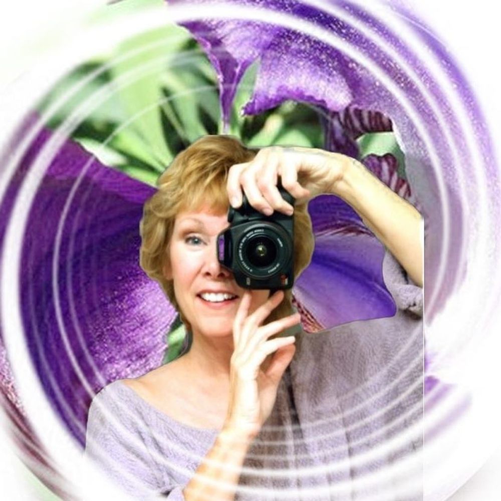 Kathy Koch