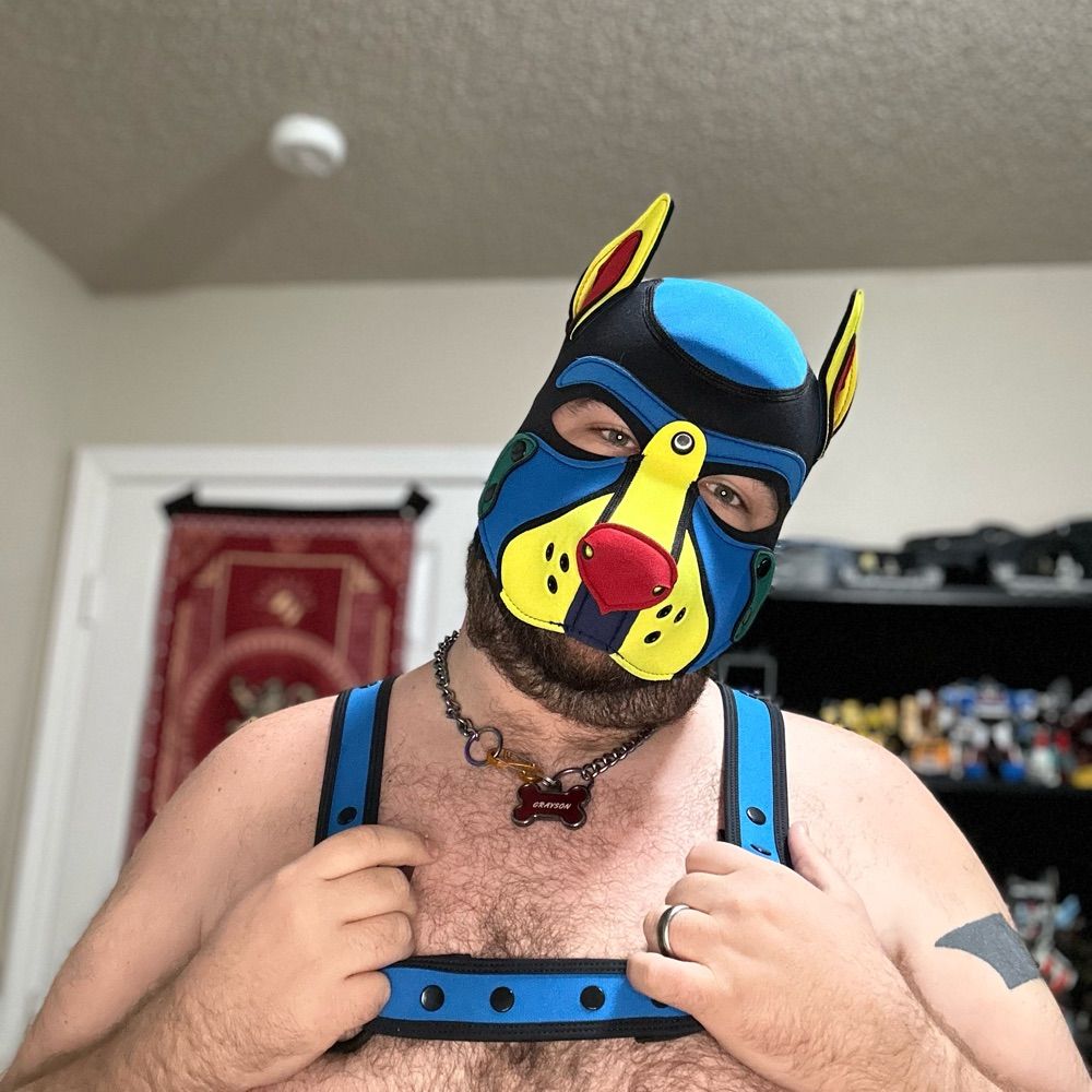 Pup_grayson