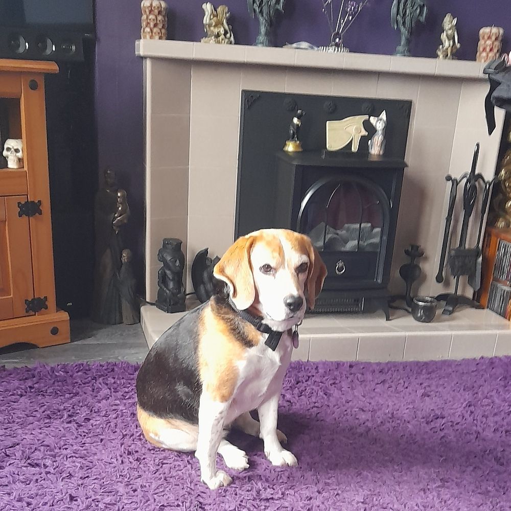 Ellie