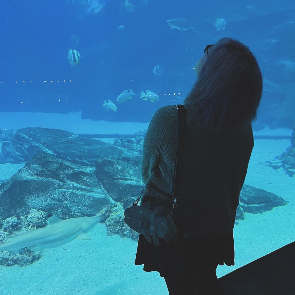 jelly