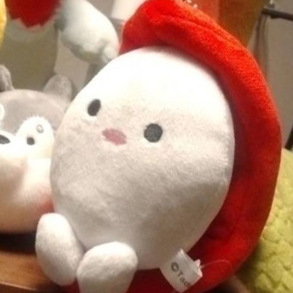 きぬよ