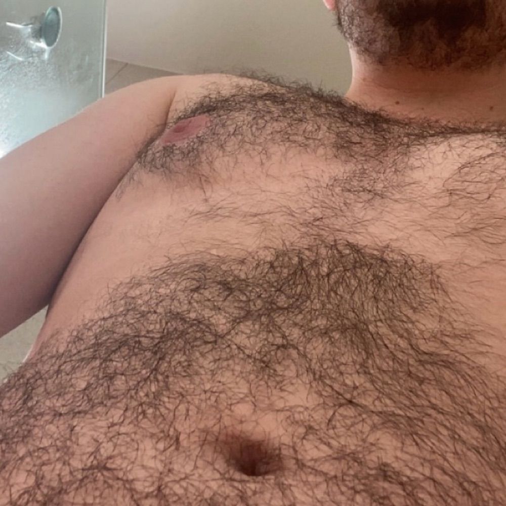 DomCub
