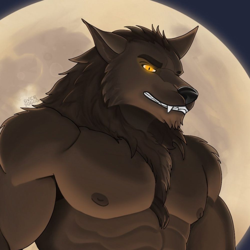 Overdoggo
