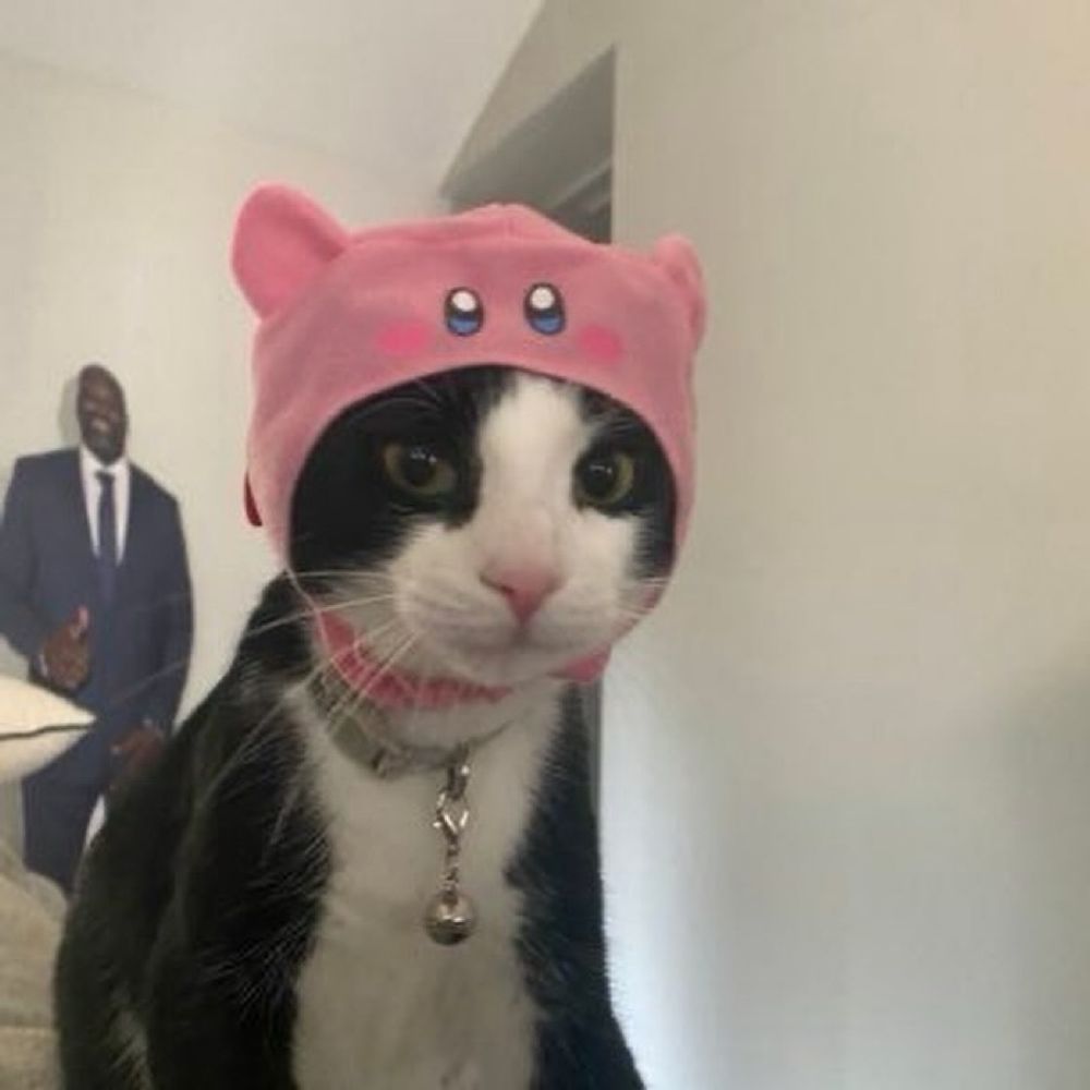 박정걸