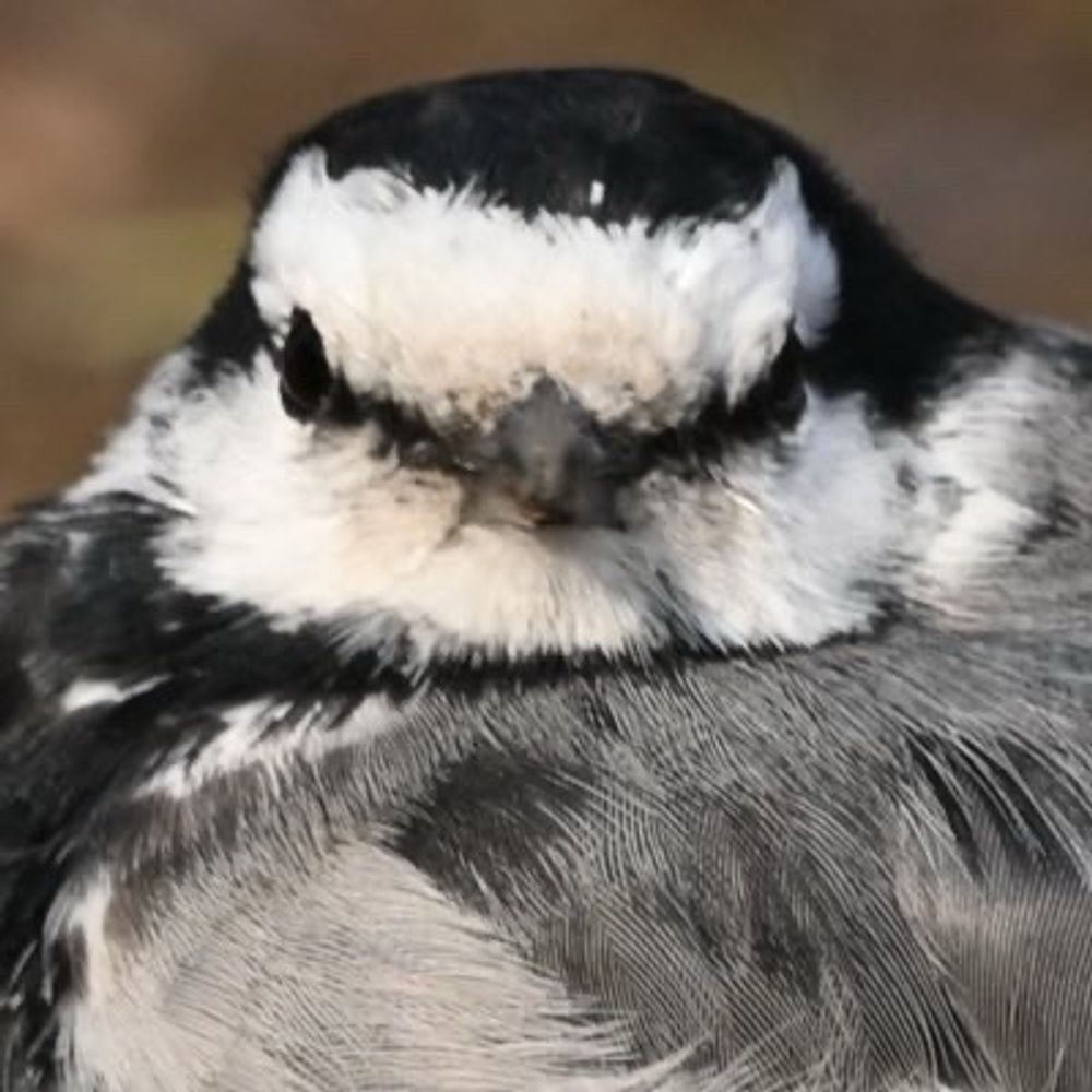 わぐテック