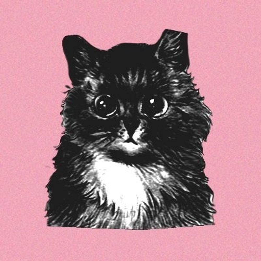 Penny Baudelaire