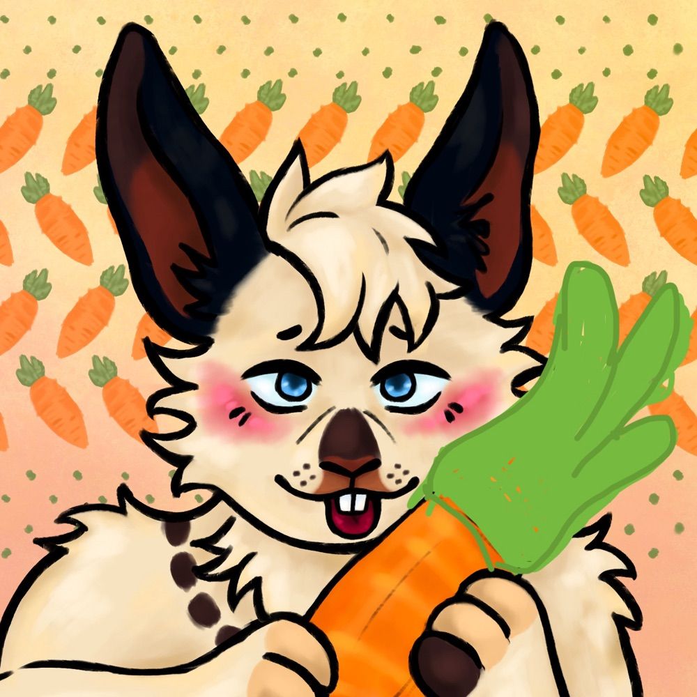 flusteredbunny.bsky.social