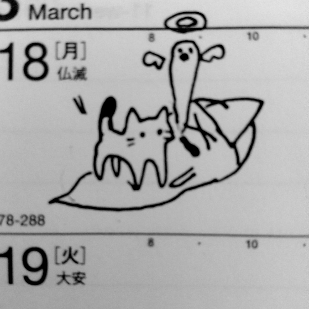 咆哮大学