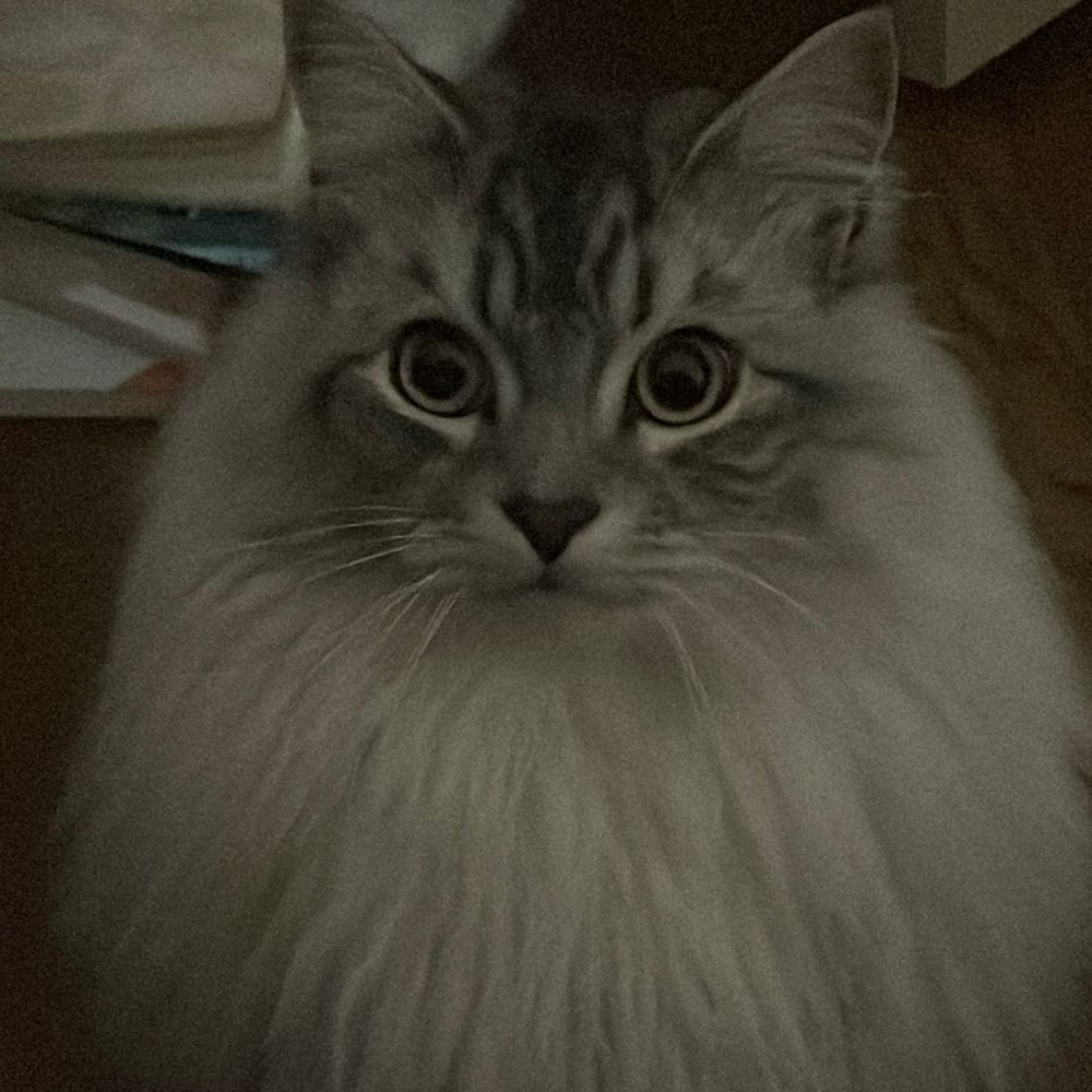 はれた