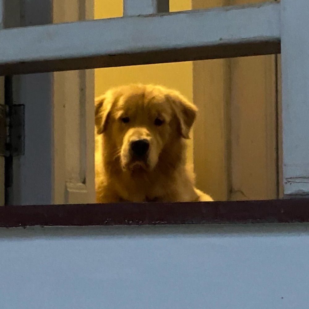 นายซุ่ย
