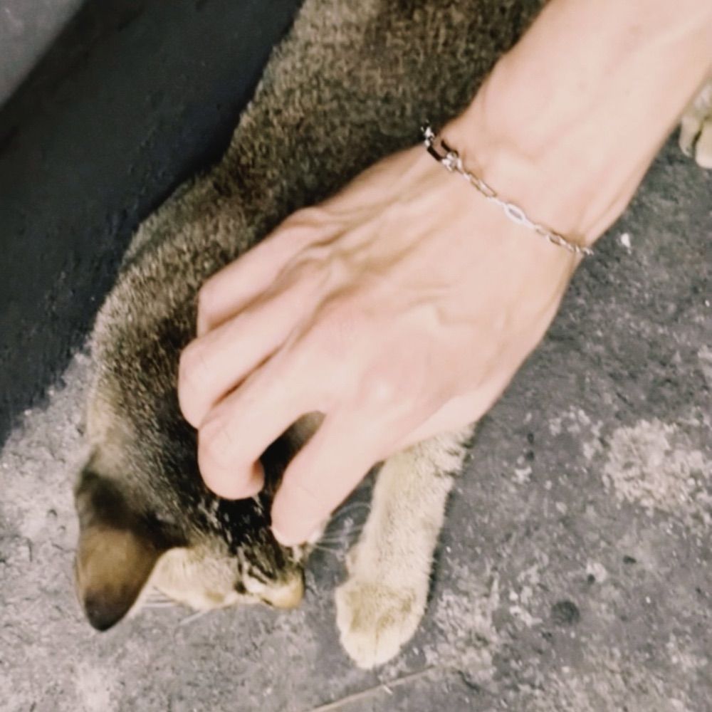 ⋆͛luckyimbk. 🐾