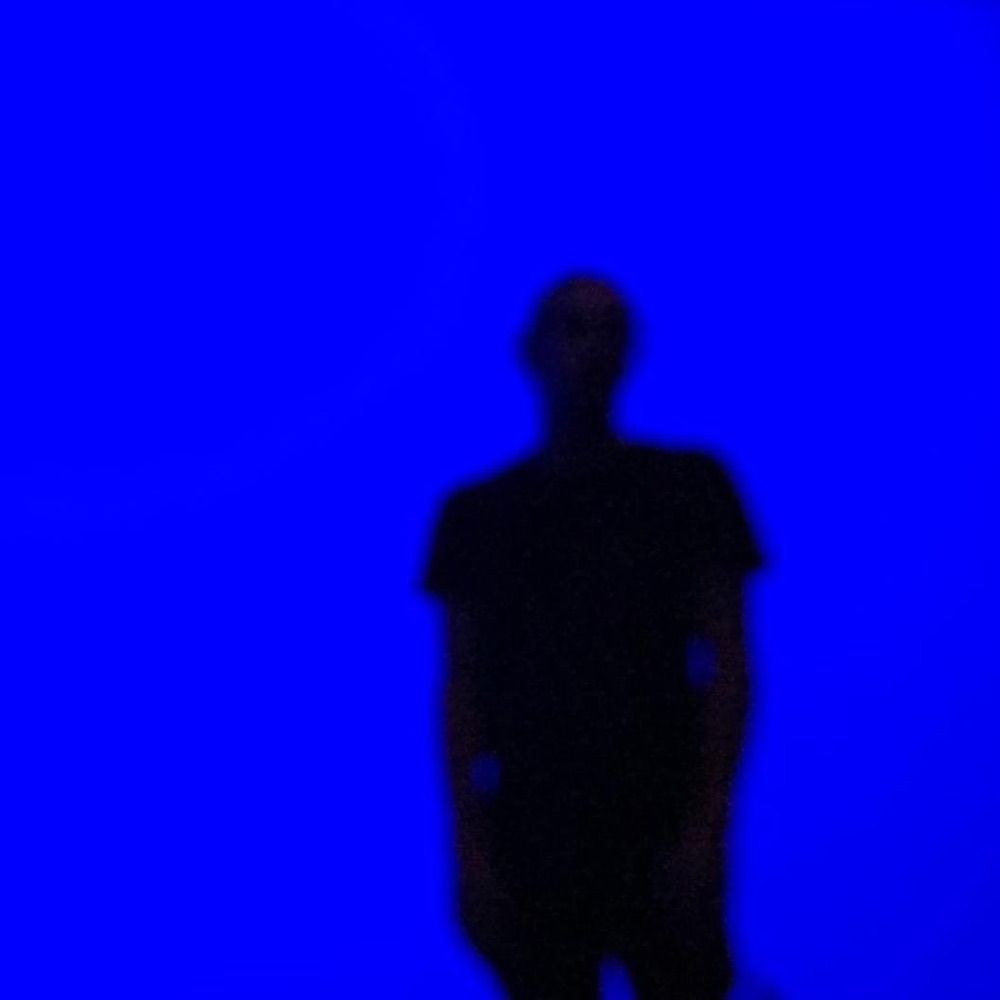 frankdied.com