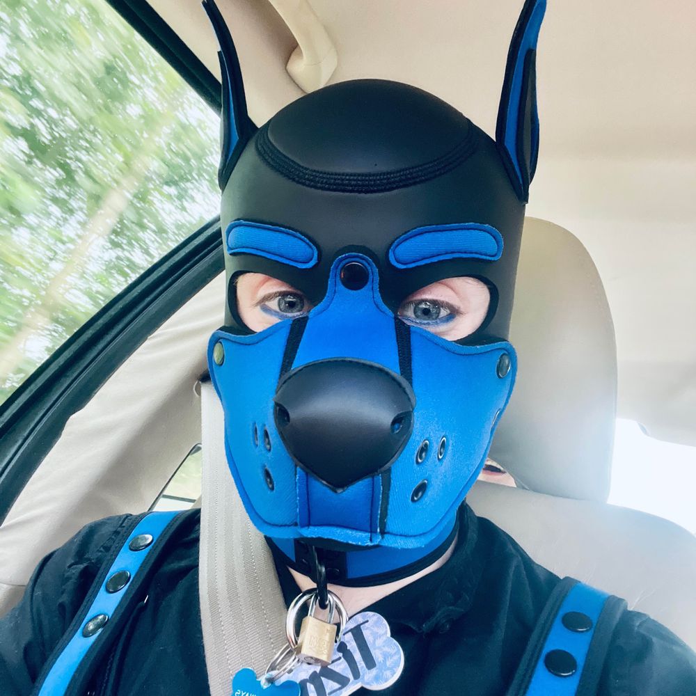  💙 Pup Tizmo 💙🐶/ blueberry 🫐