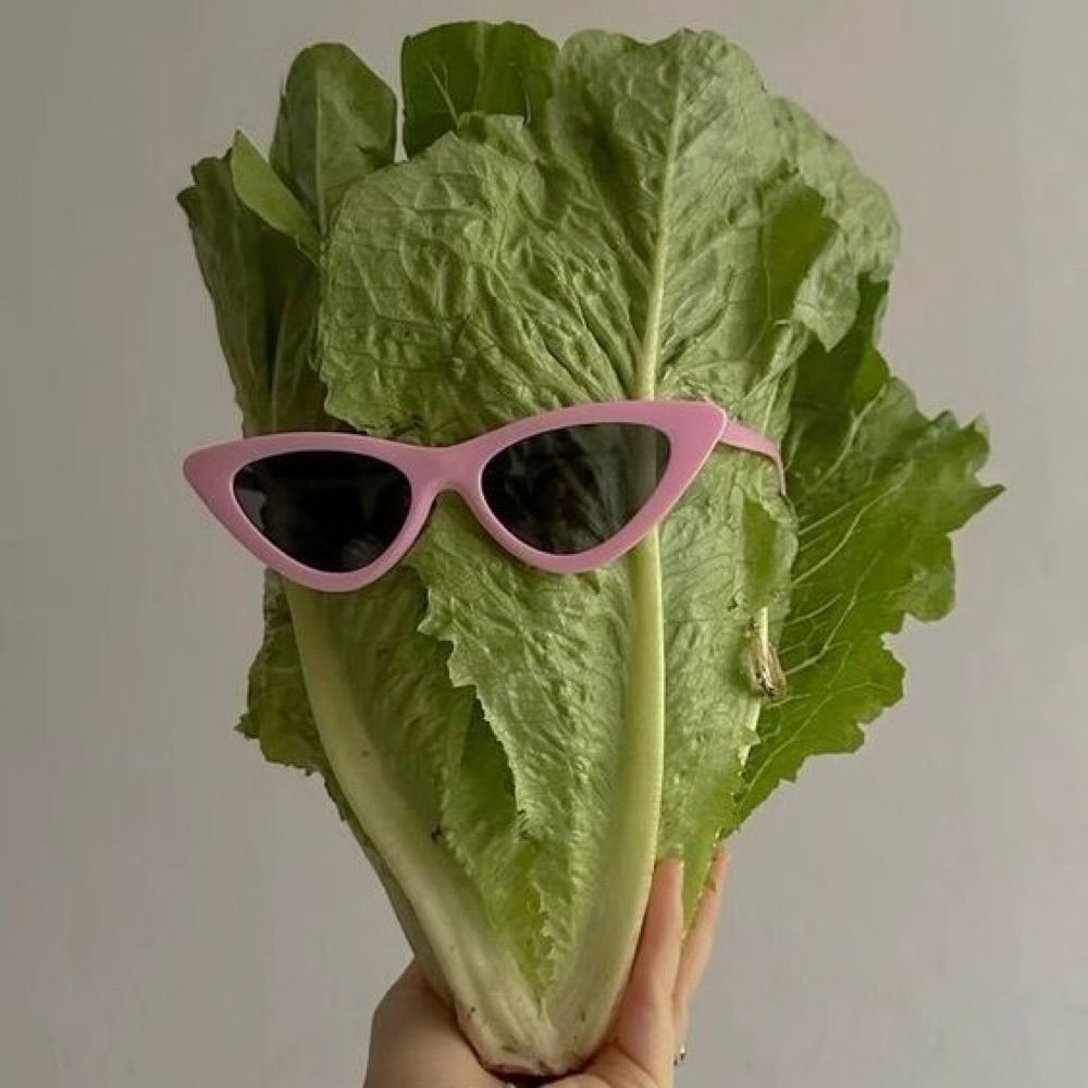 앤지