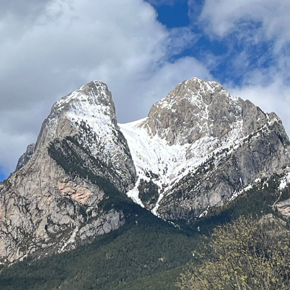 Sigala