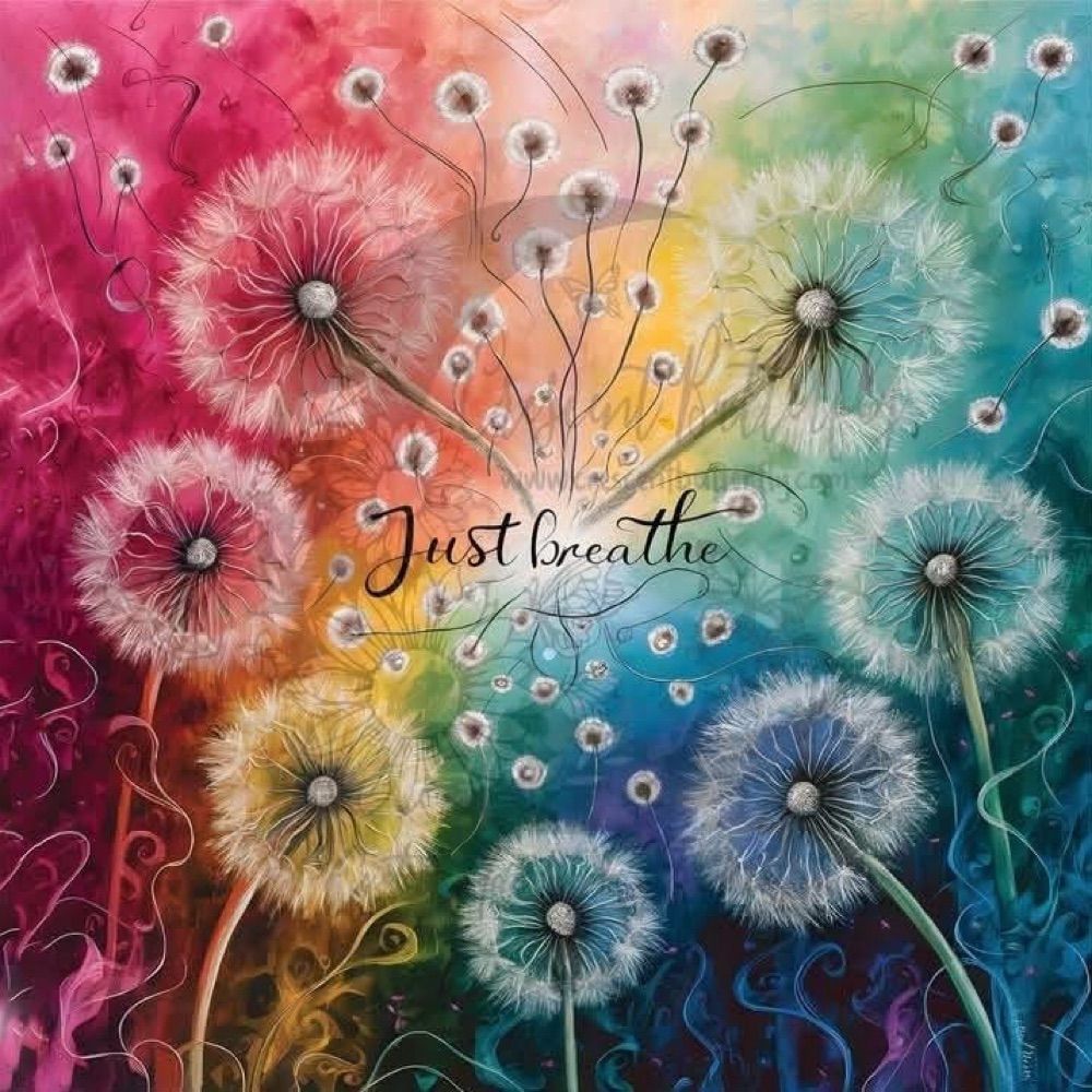 Jill Wells