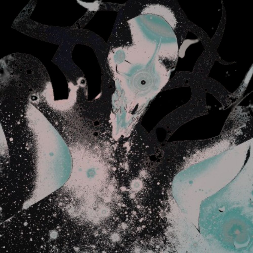 𝕿нє ᖴᓰRST 𝐅𝐈𝗥𝗠𝗔𝗠𝗘𝗡𝗧 ⋆｡°✩