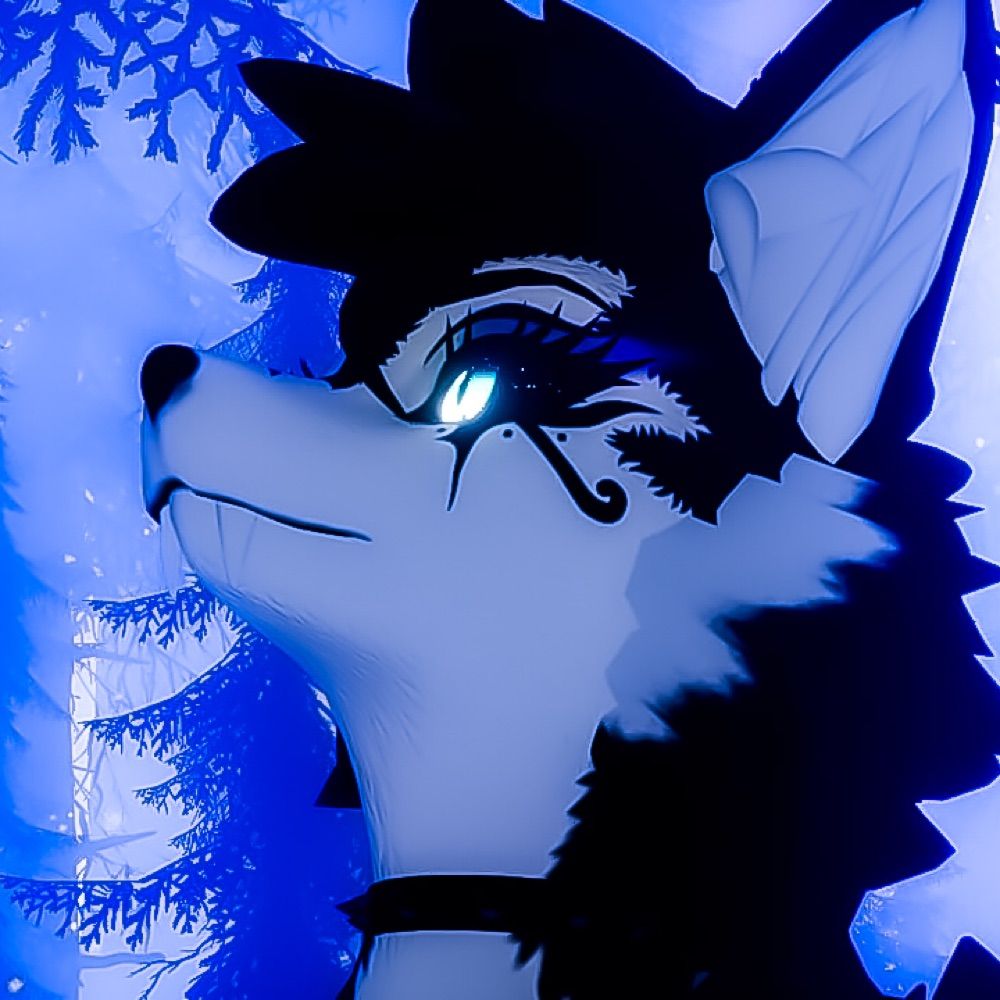 ColeHusky
