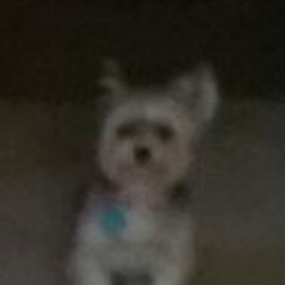 Grady