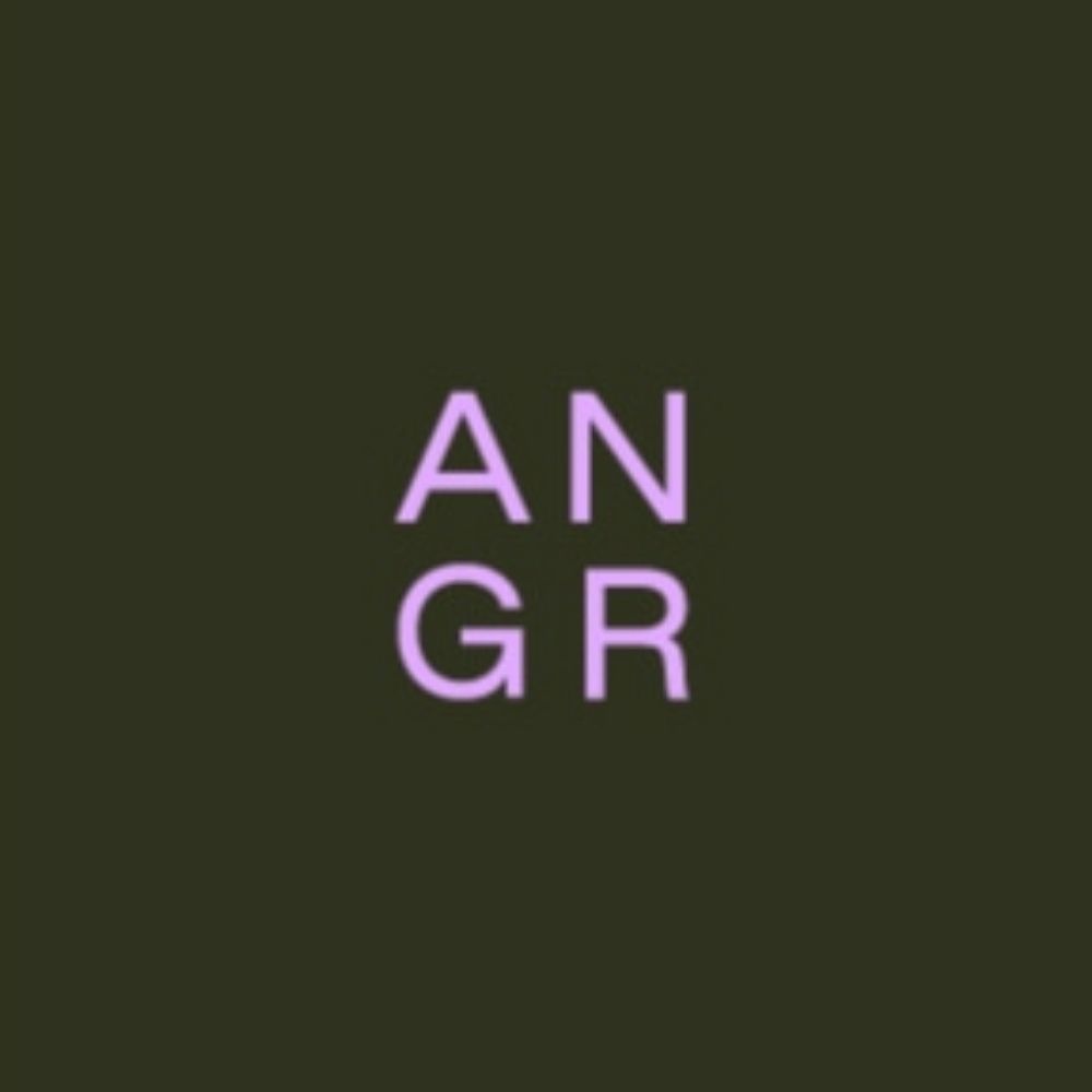 angr
