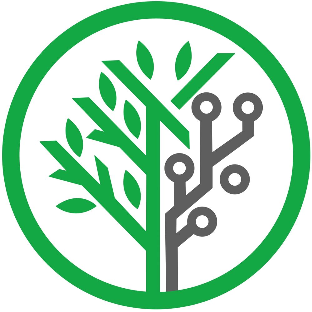 LifeTree NFT