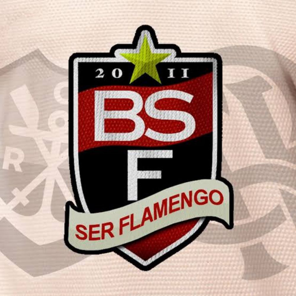 Blog Ser Flamengo 