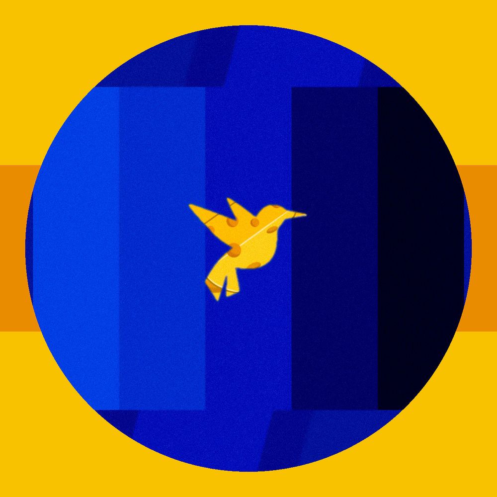 🧀 CHEESEBIRD 🐦