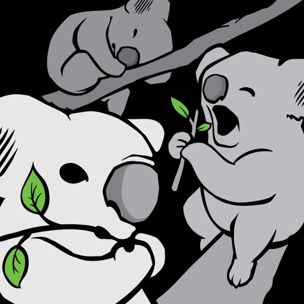 Crunching Koalas: video games publishing & porting