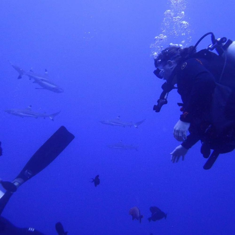 🤿Scuba Diva🐋