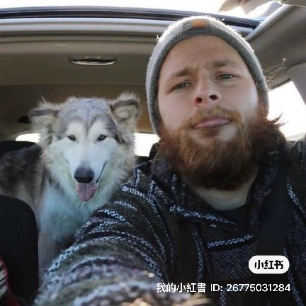DOG DAD