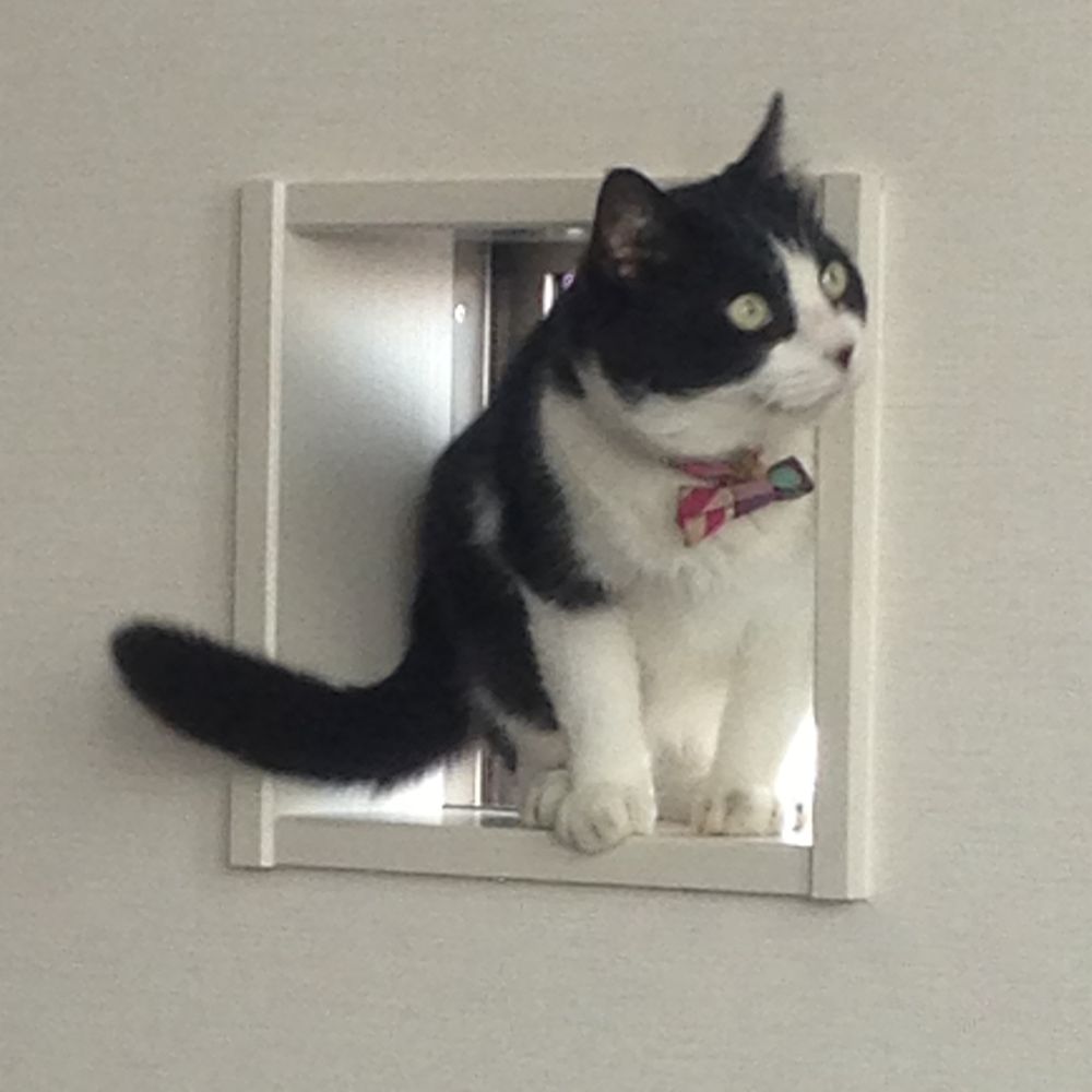 ふみわた