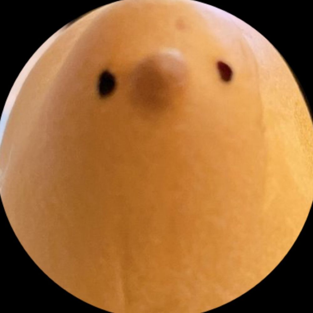 しい