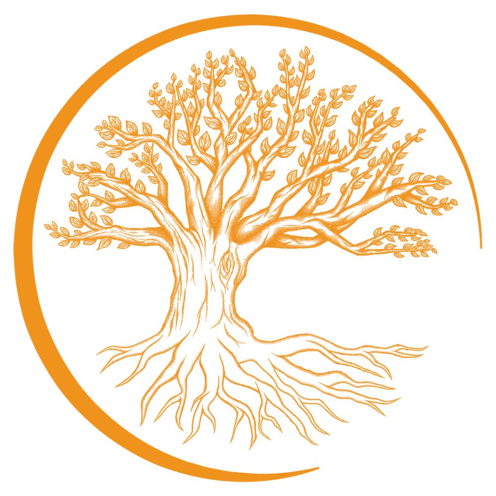 Physiologia Plantarum