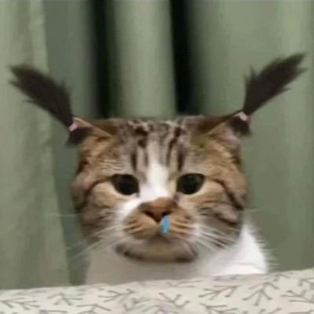 냥