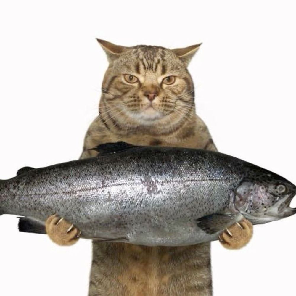 Hon