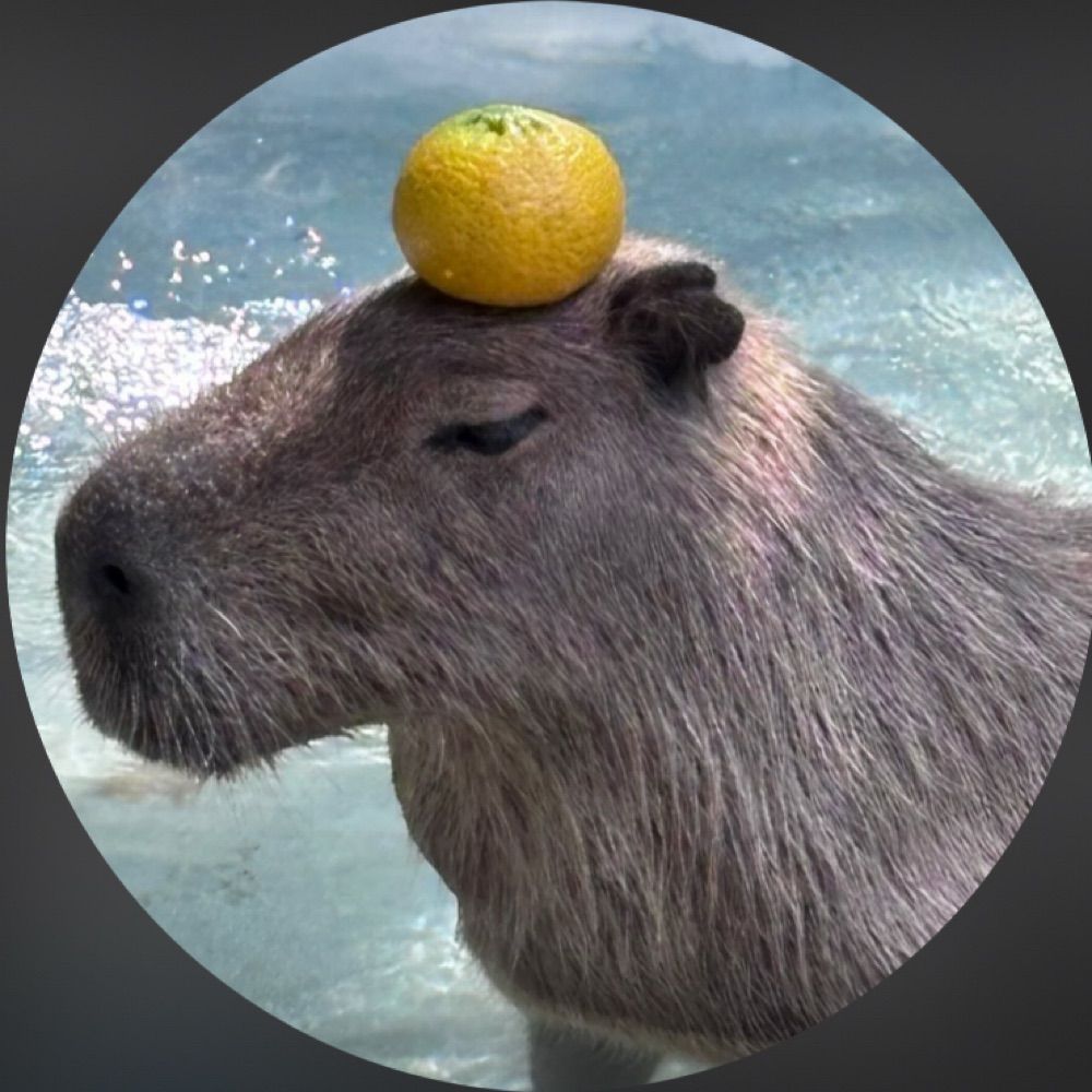 水豚君