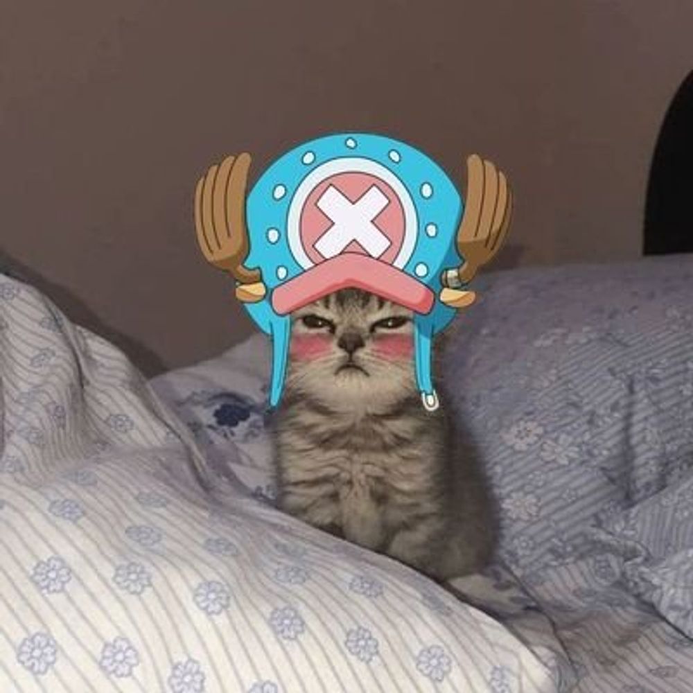 Medium Sized Chopper