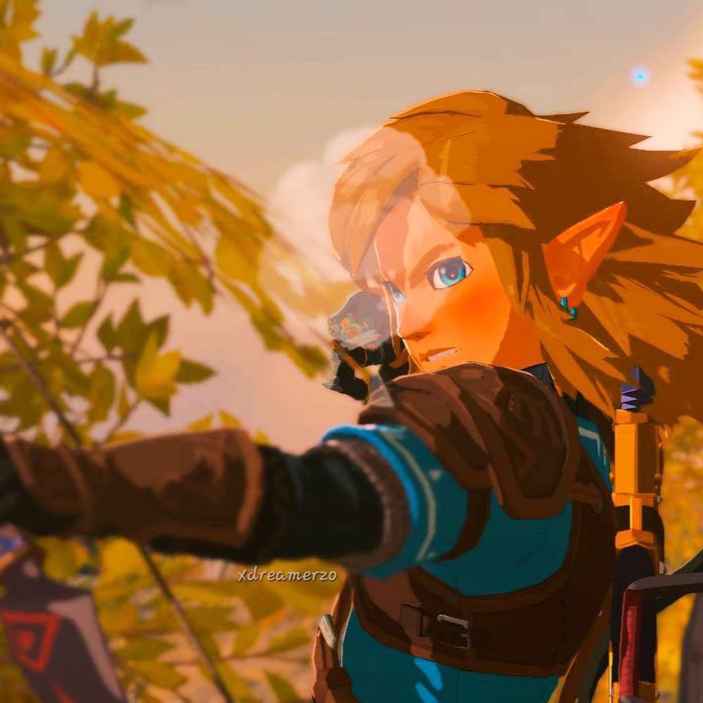 Robin / Link
