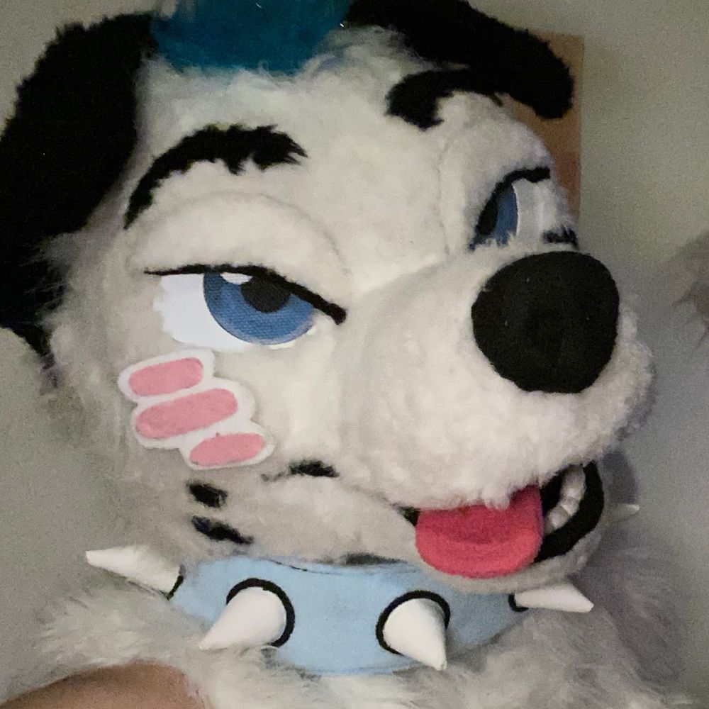 ArtikDalmatian