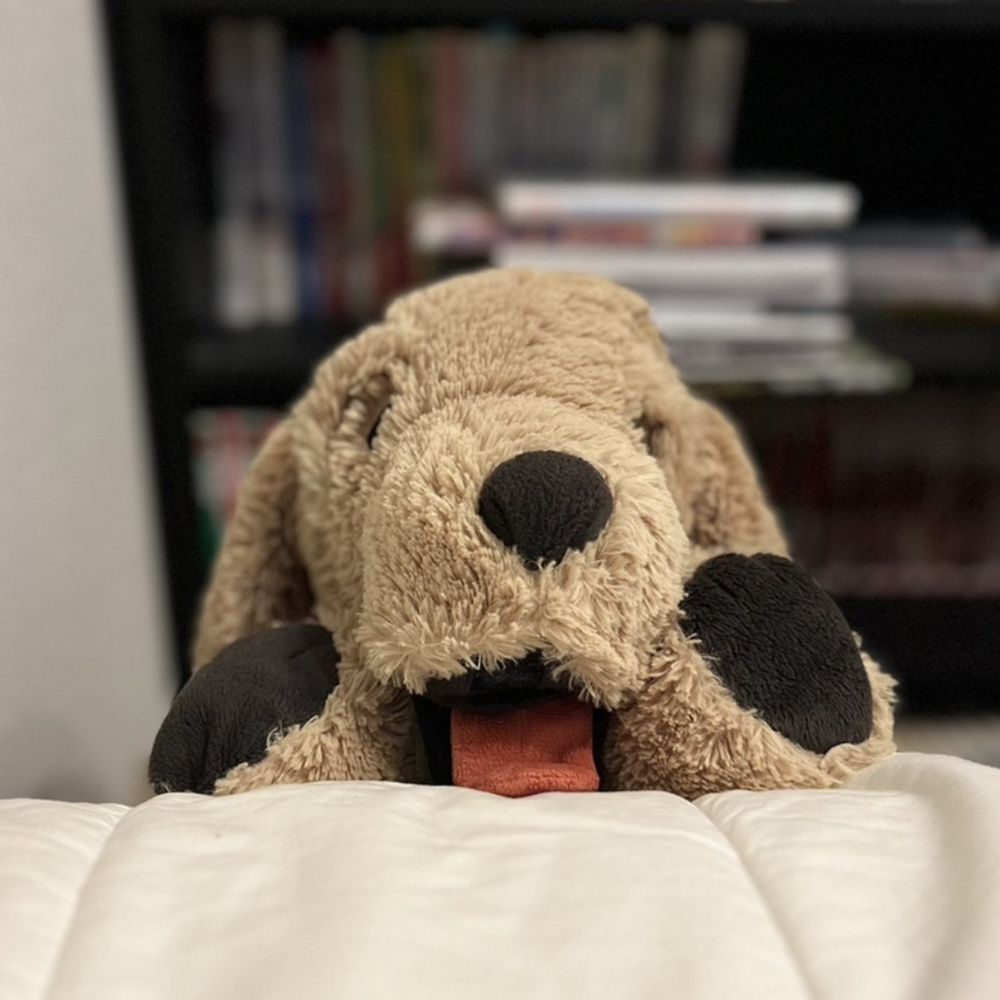 やつはし