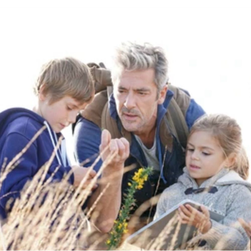 grahamewhitaker.bsky.social