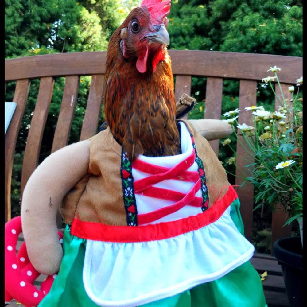 Rowenatster
