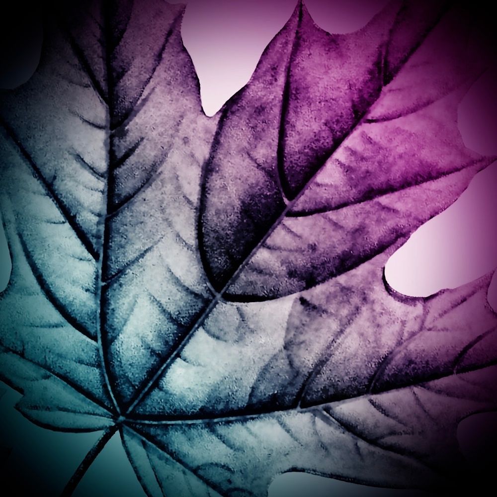 Broadleaf