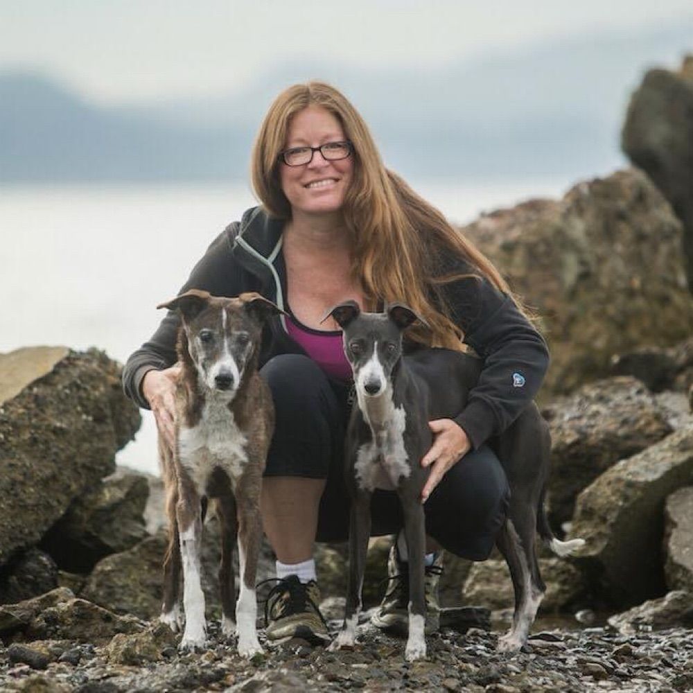Amy Cook, PhD